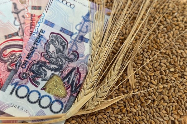 «Агроөнеркәсіптік кешен саласындағы жобаларды кредиттеу» мемлекеттік бағдарламасының әкімшісі ретінде төмендегі инвестициялық жобалар бойынша әлеуетті инвесторларды іріктеу жөнінде конкурс жариялайды