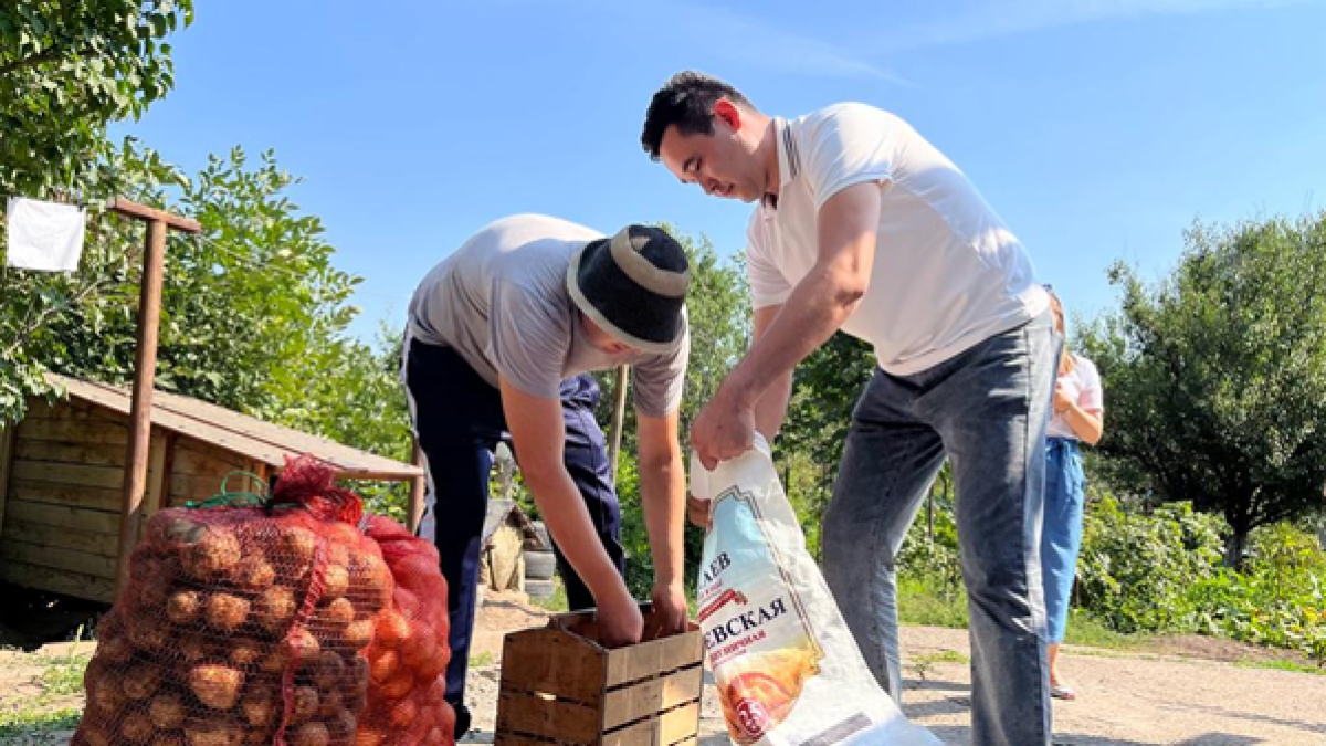 Расширились возможности реализации дачной продукции