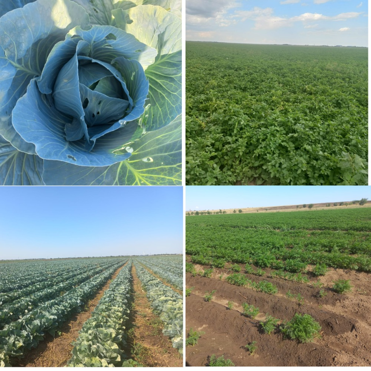 Шарттық міндеттемелердің орындалуына және ақшалай қаражаттың игерілуіне Мониторинг жүргізу