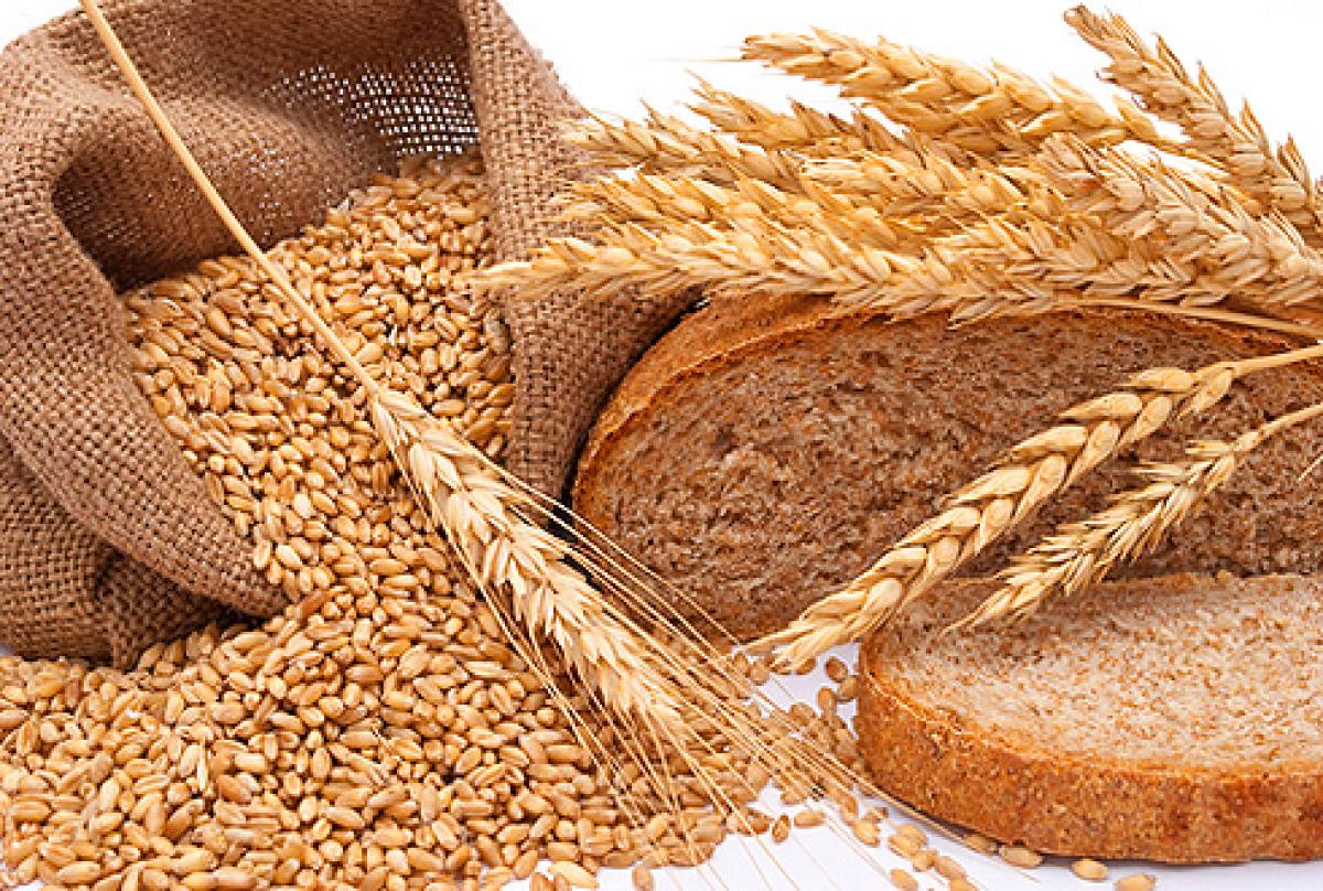 JSC SEC Aqjaiyq announces the start of accepting applications for financing of commodity producers for the organization of supplies of wheat bread from flour of the first grade.