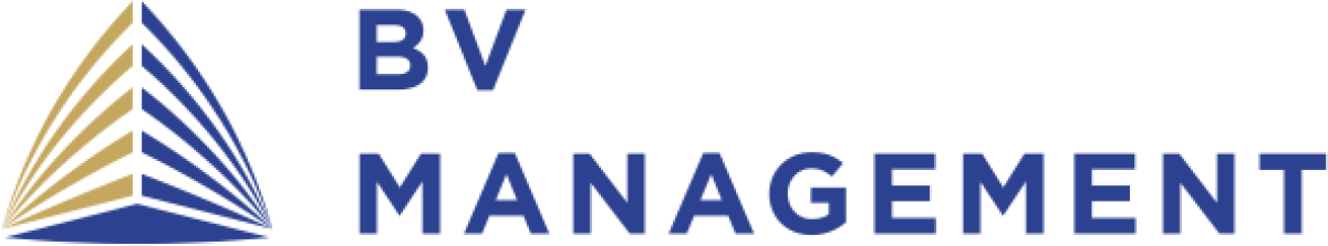 BV MANAGEMENT