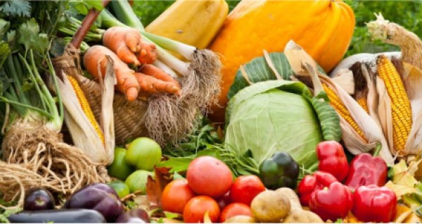 Мини-маркет “Ел-ырысы”