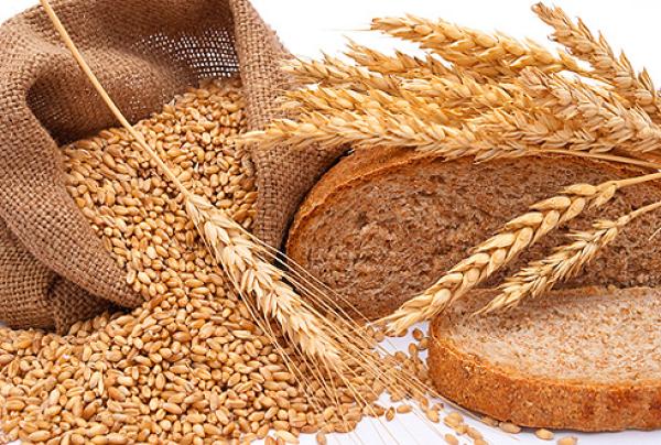 JSC SEC Aqjaiyq announces the start of accepting applications for financing of commodity producers for the organization of supplies of wheat bread from flour of the first grade.