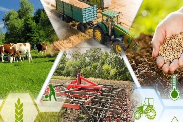 The program of crediting projects in the field of agro-industrial complex