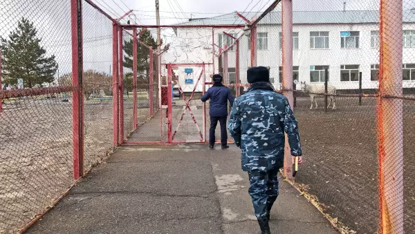 Шағын және орта бизнес субъектілерінің назарына!